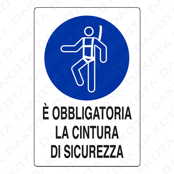 È obbligatoria la cintura di sicurezza